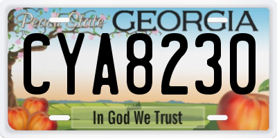 GA license plate CYA8230