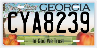 GA license plate CYA8239