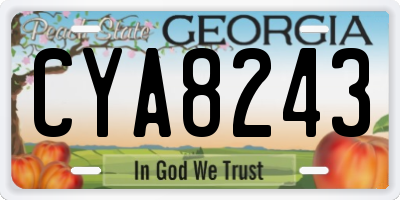 GA license plate CYA8243