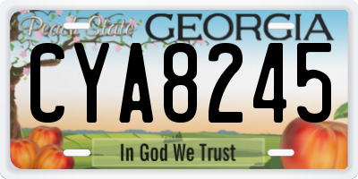 GA license plate CYA8245