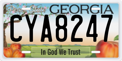 GA license plate CYA8247