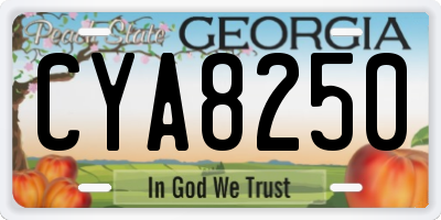 GA license plate CYA8250