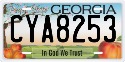 GA license plate CYA8253