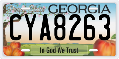 GA license plate CYA8263