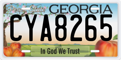 GA license plate CYA8265