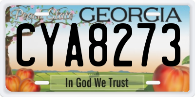 GA license plate CYA8273