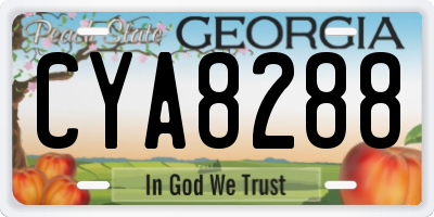 GA license plate CYA8288