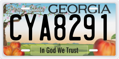 GA license plate CYA8291