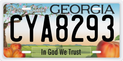 GA license plate CYA8293