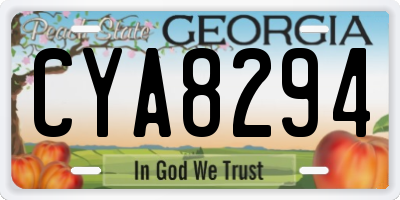 GA license plate CYA8294