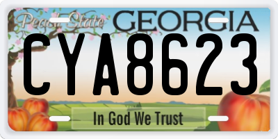 GA license plate CYA8623