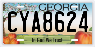 GA license plate CYA8624