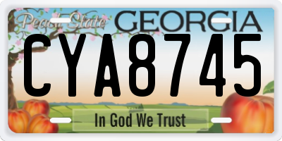 GA license plate CYA8745