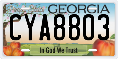 GA license plate CYA8803