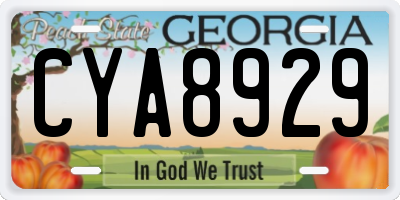 GA license plate CYA8929