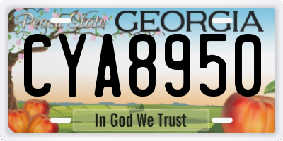 GA license plate CYA8950