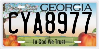 GA license plate CYA8977