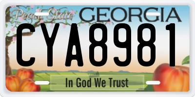 GA license plate CYA8981