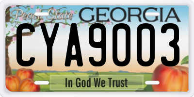 GA license plate CYA9003