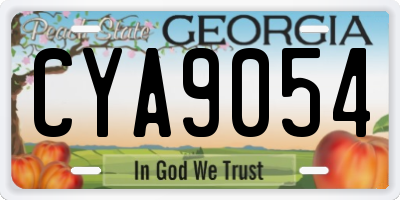 GA license plate CYA9054