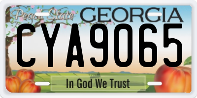 GA license plate CYA9065