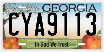 GA license plate CYA9113