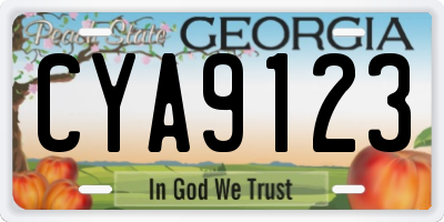 GA license plate CYA9123
