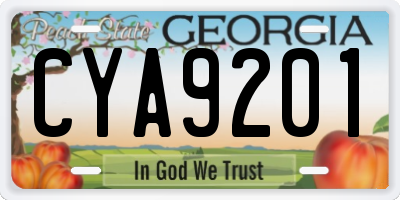 GA license plate CYA9201