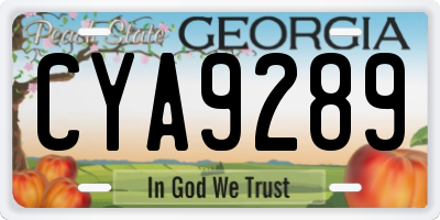 GA license plate CYA9289