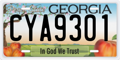 GA license plate CYA9301
