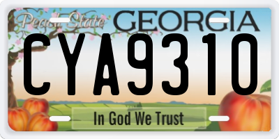 GA license plate CYA9310