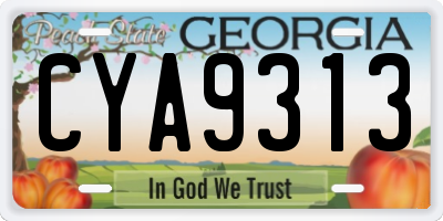 GA license plate CYA9313