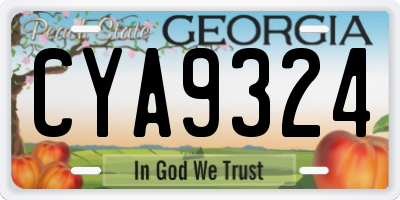 GA license plate CYA9324
