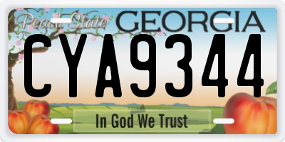 GA license plate CYA9344