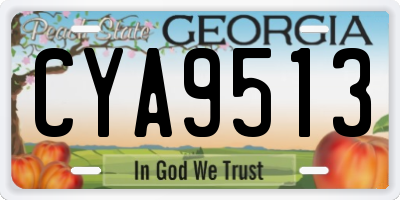 GA license plate CYA9513