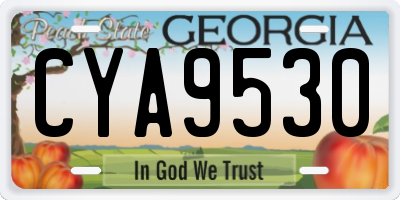 GA license plate CYA9530