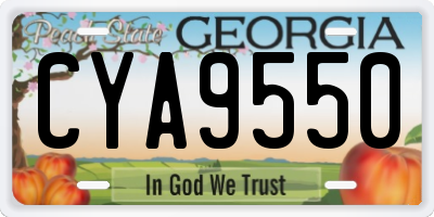 GA license plate CYA9550