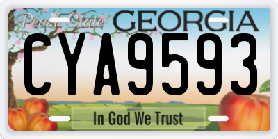 GA license plate CYA9593