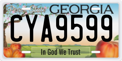 GA license plate CYA9599