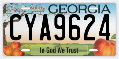 GA license plate CYA9624