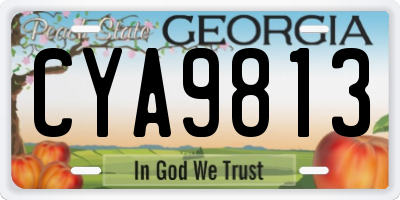 GA license plate CYA9813