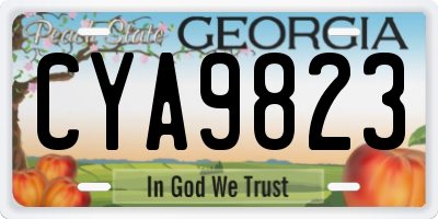 GA license plate CYA9823