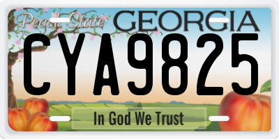 GA license plate CYA9825