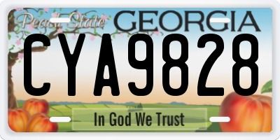 GA license plate CYA9828