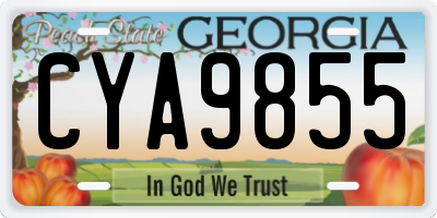 GA license plate CYA9855