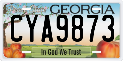 GA license plate CYA9873