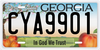 GA license plate CYA9901