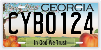 GA license plate CYB0124
