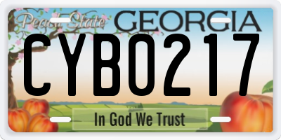 GA license plate CYB0217