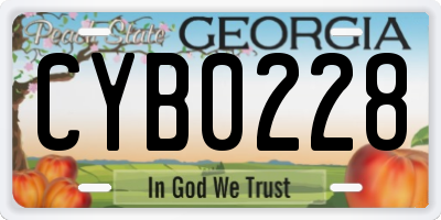 GA license plate CYB0228